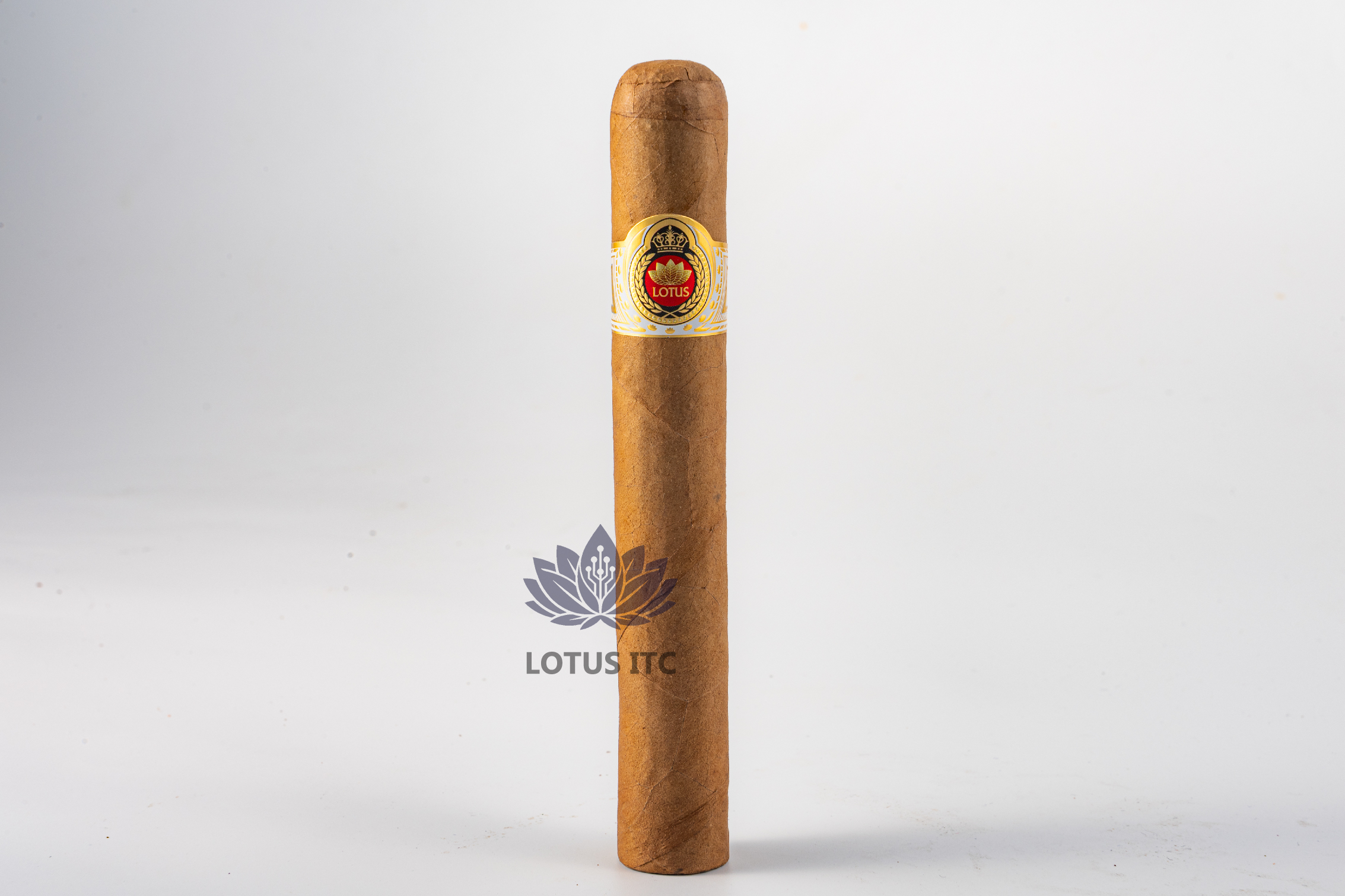 Cigar LOTUS NO.6 (Ống nhôm 1 điếu) (Hộp giấy/3 Điếu)